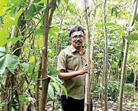 நெருங்கி நடவு செய்யப்பட்ட தனது தோட்டத்தில் ஹரி.