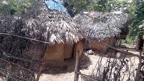 திருவள்ளூர் மாவட்டம், பூண்டி அருகே ராசபாளையம் கிராமத்தில் இருளர் இன குடும்பங்கள் வசிக்கும் குடிசை வீடுகள்.