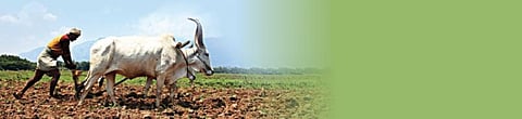 விவசாயத்தைப் பாதுகாக்கும் வேளாண் சட்ட முன்வடிவு