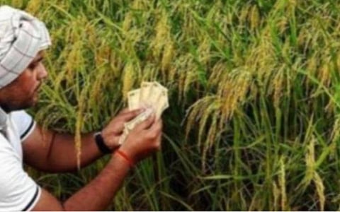 நடப்பாண்டு பயிர்க் காப்பீட்டுத் திட்டத்தில் நெல், தட்டைப் பயறு சேர்க்கப்படுமா?- மத்திய, மாநில அரசுகள் பதிலளிக்க உத்தரவு