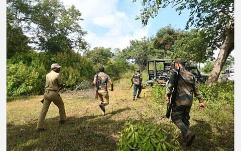 மசினகுடி அருகே 4 பேரை கொன்ற புலியை சுட்டுக்கொல்ல வன உயிரின ஆர்வலர்கள் எதிர்ப்பு