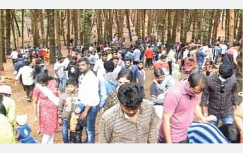 கொடைக்கானல் பைன் பாரஸ்ட் பகுதியில் குவிந்த சுற்றுலாப் பயணிகள்.
