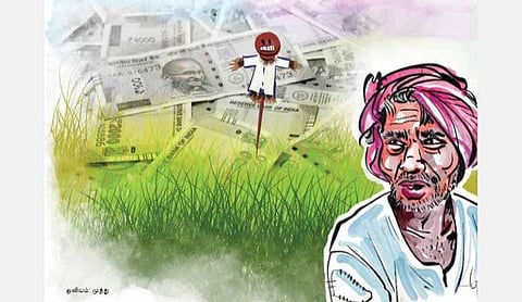மீண்டும் விவசாயத்தை நோக்கி இந்தியா