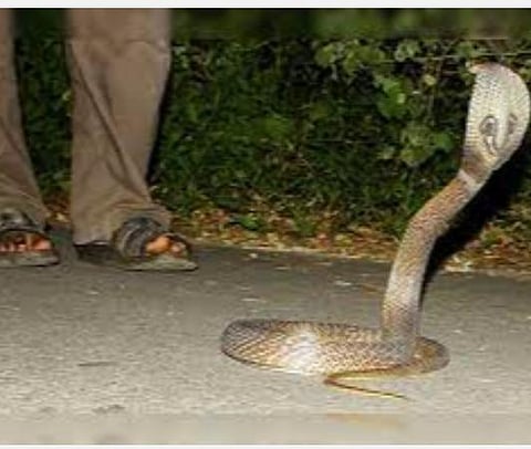 பிரதிநிதித்துவப்படம்