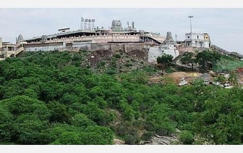 திருத்தணி சுப்பிரமணிய சுவாமி கோயில் தங்கத்தேர் நவம்பரில் சுவாமி புறப்பாட்டுக்கு தயாராகிவிடும்: இந்து சமய அறநிலையத் துறை தகவல்