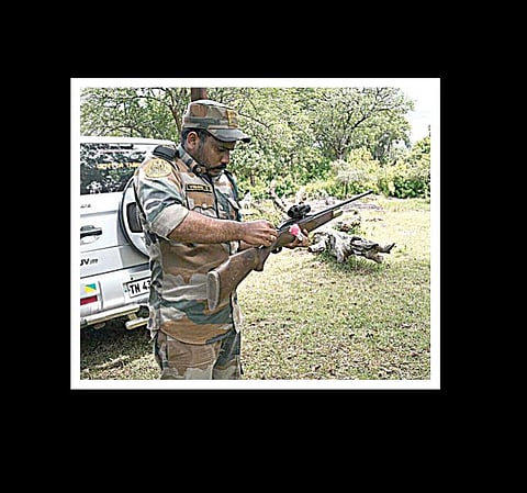 மசினகுடி வேங்கைப்புலி எழுப்பும் கேள்விகள்