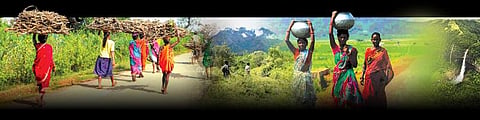 புதிய சட்டத் திருத்தம் வனத்தைப் பாதுகாக்கவா... அழிக்கவா?