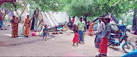 திருவள்ளூர் மாவட்டம், திருவேற்காடு அருகே அயப்பாக்கத்தில் கோயில் நிலத்தில் கொட்டகைகள் அமைத்து பாதுகாப்பற்ற சூழலில் வசித்தும் பூம்பூம் மாட்டுக்காரர் குடும்பங்கள்.