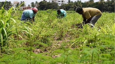 உத்தர பிரதேசத்தின் 58,000 கிராமங்களில் விவசாயிகளிடம் சாதனை விளக்க கூட்டங்கள்: அமைச்சர்கள், எம்.பி., எம்எல்ஏ.க்களுக்கு பாஜக தலைமை உத்தரவு