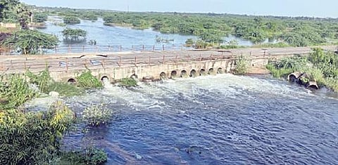 காஞ்சிபுரம் பாலாற்றின் இடது கரையோரத்தில் ஆர்ப்பரித்து செல்லும் தண்ணீர்.