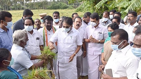 கன்னியாகுமரி மாவட்டத்தில் கனமழை பாதிப்பால் தோவாளை பகுதியில் சேதமடைந்த நெற்பயிர்களை விவசாயிகளிடம் இருந்து பெற்று அமைச்சர்கள் கே.கே.எஸ்.எஸ்.ஆர்.ராமச்சந்திரன், செந்தில்பாலாஜி, மனோதங்கராஜ் ஆகியோர் நேற்று ஆய்வு செய்தனர். உடன் விஜய் வசந்த் எம்.பி. உள்ளார்.