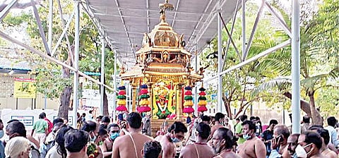 திருச்செந்தூர் செந்திலாண்டவர் கோயிலில் நேற்று நடைபெற்ற தங்கத்தேர் வீதியுலா.