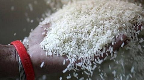 மரபணு மாற்றப்பட்ட அரிசி: ஆய்வுக் களங்களிலும் கண்காணிப்பு தேவை
