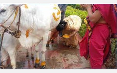 துலாம் ராசி அன்பர்களே! நவம்பர் மாத பலன்கள்; எதிர்ப்பு விலகும்; கூடுதல் பணி; திடீர் மன வருத்தம்!