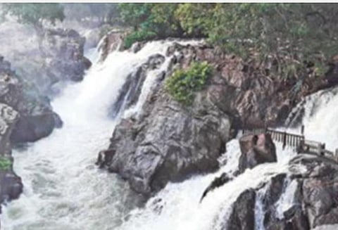 பிரதிநிதித்துவப் படம்