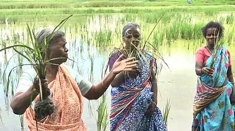 புதுவையில் கனமழையால் 500 ஏக்கர் நெற்பயிர்கள் நீரில் மூழ்கின: விவசாயிகள் வேதனை