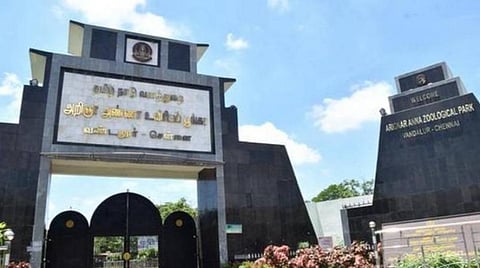 பருவமழையை எதிர்கொள்ளத் தயார் நிலையில் அறிஞர் அண்ணா உயிரியல் பூங்கா: 10 முக்கிய நடவடிக்கைகள்