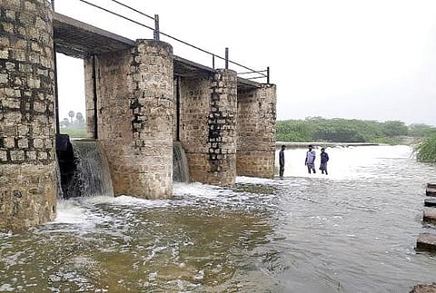 தேவகோட்டை அருகே எழுவன்கோட்டை அணையில் பெருக்கெடுத்து ஓடும் விருசுழியாறு.