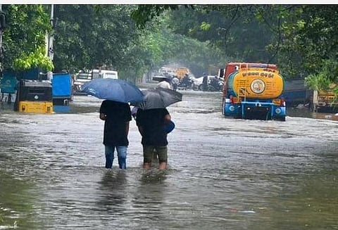 சென்னையில் 444 இடங்களை வெள்ள நீர் சூழ்ந்தது: 160 மரங்கள் வேரோடு சாய்ந்தன