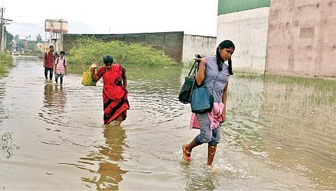 ஆக்கிரமிப்பாளர்களால் சுருங்கிய நிக்கல்சன் கால்வாய்; மழை காலங்களில் உறக்கத்தை இழக்கும் கன்சால்பேட்டை மக்கள்: மாவட்ட நிர்வாகம் நிரந்தர தீர்வு காண கோரிக்கை