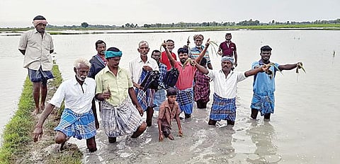 தஞ்சாவூர் மாவட்டம் அம்மையகரம் கிராமத்தில் உள்ள வயலில் மழைநீரில் மூழ்கியுள்ள சம்பா நெற்பயிரை காட்டும் விவசாயிகள்.
