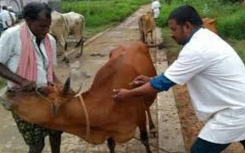 கால்நடை பராமரிப்புத் துறை காலிப்பணியிடங்கள் விரைவில் நிரப்பப்படும்: தமிழக அரசு