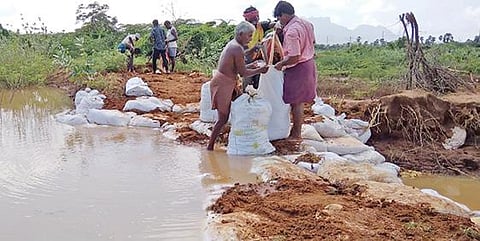 மணிமலையன் புதுக்குளம் கனமழையால் நிரம்பி உடைப்பு ஏற்பட்டது. அப்பகுதி விவசாயிகள் மண் மூட்டைகளை அடுக்கி அடைப்பை சரிசெய்தனர்.