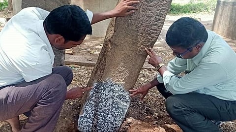 மதுரை பெருங்குடி பெரிய கண்மாயில் உள்ள கி.பி.13ம் நூற்றாண்டைச் சேர்ந்த நிலக்கொடை கல்வெட்டை ஆய்வு செய்யும் பேராசிரியர் குழுவினர்.