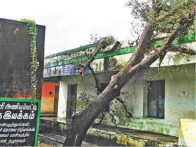 கொடைக்கானல் வில்பட்டி பிரிவு அருகே சாலையின் குறுக்கே விழுந்த மரத்தை அகற்றும் தீயணைப்பு வீரா்கள்.