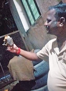 செந்தாமரை கிருஷ்ணன் கையில் இருக்கும் வாழைப் பழத்தை சாப்பிடும் வவ்வால்.