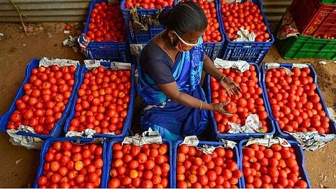 வரத்து குறைவு காரணமாக கோயம்பேடு சந்தையில் தக்காளி விலை உயர்வு: கிலோ ரூ.100-க்கு விற்பனை
