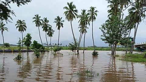 தேனியில் பெய்த திடீர் கனமழையால் கரைகளைக் கடந்து ஓடும் ஆறுகள்: வயல்களில் புகுந்த வெள்ளநீர்; பயிர்கள் சேதம்