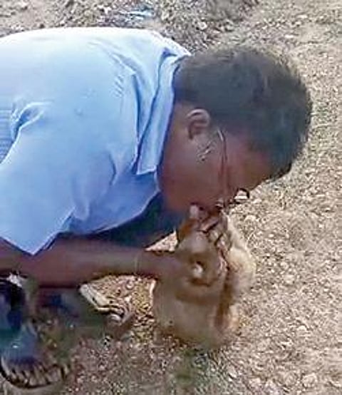 மயங்கிக் கிடந்த குரங்குக்கு செயற்கை சுவாசம் அளிக்கும் பிரபு.