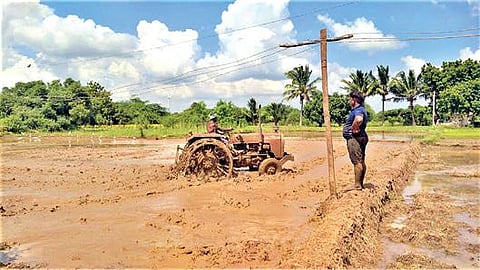 பசுவந்தனை அருகே மேல முடிமண் கிராமத்தில் வயலில் டிராக்டர் மூலம் உழவுப் பணி நடைபெறும் நிலையில், தாழ்வாகச் செல்லும் மின்வயர்களை உயரமான கம்பு மூலம் தூக்கி நிறுத்தி உள்ளனர்.