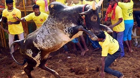 தடுப்பூசி போட்டவர்களுக்கு மட்டுமே ஜல்லிக்கட்டில் பங்கேற்க அனுமதி?