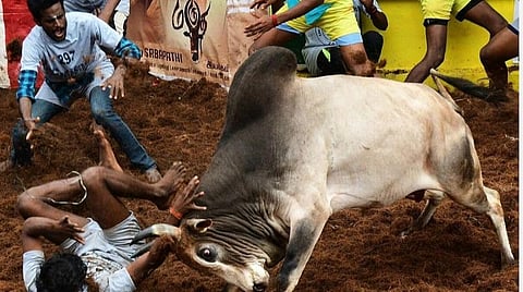 பிரதிநிதித்துவப் படம்.