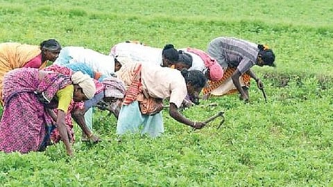 பிரதிநிதித்துவப் படம்.