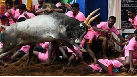 அலங்காநல்லூர் ஜல்லிக்கட்டு | கோப்புப்படம்.