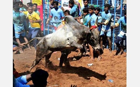 பாலமேடு ஜல்லிக்கட்டில் ஆள்மாறாட்டம் செய்த 2 மாடுபிடி வீரர்கள் சிக்கினர்
