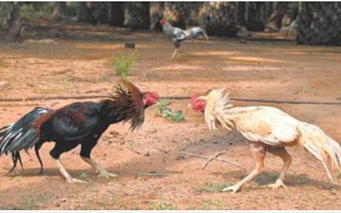 கோப்புப் படம்
