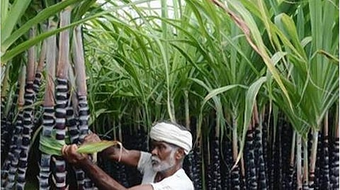 பிரதிநிதித்துவப் படம்