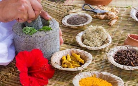 பண்டைய ஆயுர்வேத மருத்துவ அறிவை விஞ்ஞானரீதியாக சரிபார்க்கும் பதஞ்சலி