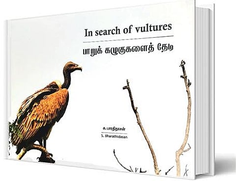 பாறுக் கழுகுகளைத் தேடி...
