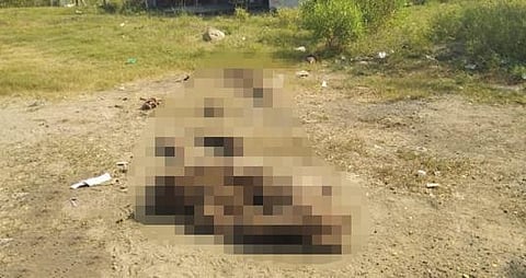 நெடுங்கூரில் இறந்துகிடந்த குரங்குகள்.
