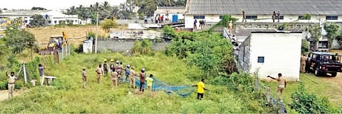 திருப்பூரில் சிறுத்தையை பிடிக்கும் பணியில் காயமடைந்த வேட்டைத்தடுப்பு காவலர்களுக்கு நிவாரணம் வழங்கப்படுமா?- போதிய கவச உடைகளின்றி உயிரை பணயம் வைக்கும் நிலை