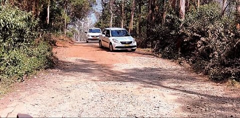 பைக்காரா படகு இல்லம் செல்லும் சாலை சீரமைக்கப்படுமா? - நுழைவுக்கட்டணம் வசூலிக்கப்படுவதால் சுற்றுலா பயணிகள் எதிர்பார்ப்பு
