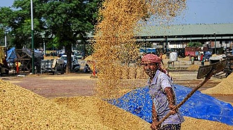 நெல் கொள்முதலின்போது முறைகேடாக விவசாயிகளிடம் கட்டாய வசூல் செய்வதை தடுக்க வேண்டும்: தமிழ்நாடு விவசாயிகள் சங்கம் கோரிக்கை