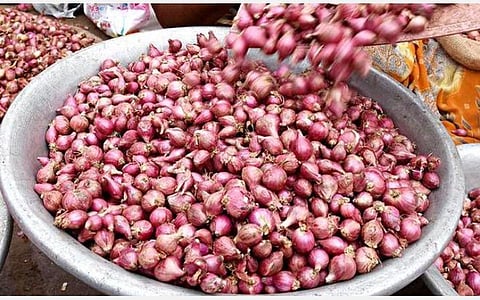 சின்ன வெங்காயத்தின் விலை வீழ்ச்சி: நஷ்டத்துக்குள்ளாவதால் விவசாயிகள், வியாபாரிகள் கவலை