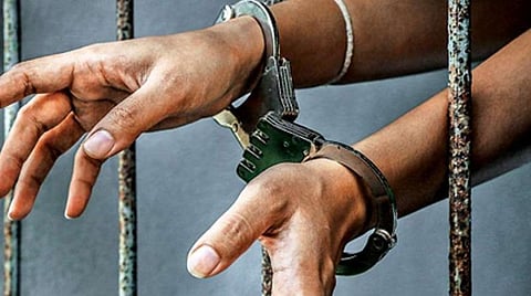 பட்டாசு கடையில் பதுக்கிய 204 கிலோ கஞ்சா பறிமுதல்: விருதுநகர் அருகே 2 பேர் கைது