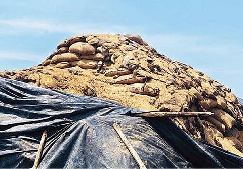 தஞ்சாவூர் மாவட்டம் பருத்தியப்பர்கோவில் கிராமத்தில் உள்ள திறந்தவெளி நெல் சேமிப்பு கிடங்கில் குறுவை பருவத்தில் கொள்முதல் செய்யப்பட்ட நெல், மூட்டைகளில் இருந்து சிதறி வீணாகி குவிந்து காணப்படுகிறது.